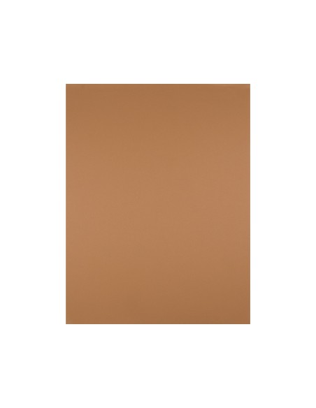 Cartulina liderpapel 50x65 cm 240g m2 marron escolar paquete de 25 hojas