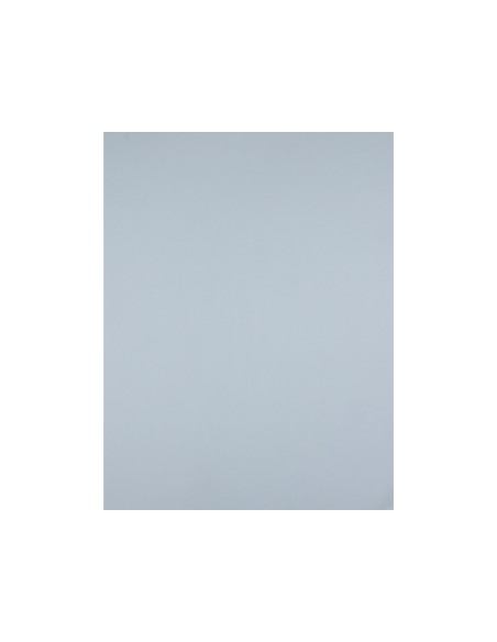 Cartulina liderpapel 50x65 cm 240g m2 gris paquete de 25 hojas