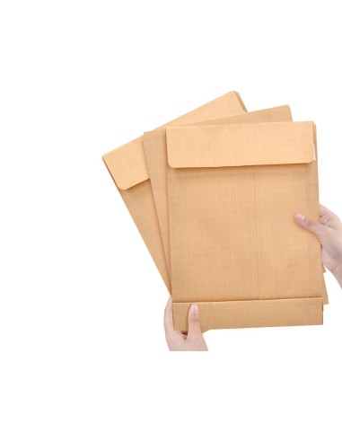 Sobre liderpapel bolsa fuelle kraft 250x353x30 mm solapa tira de silicona papel 120gr cajade 50 unidades