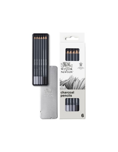 Lapiz carboncillo winsor newton studio collection blister de 6 unidades surtidos