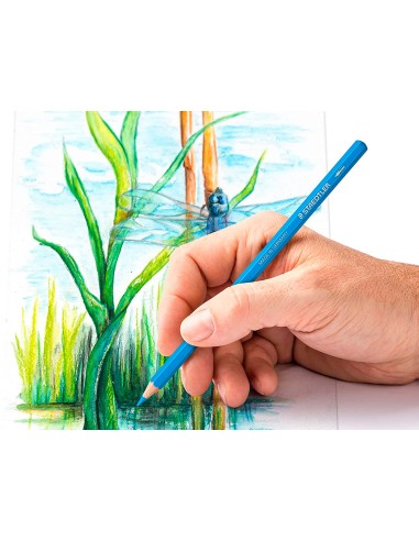 Lapices de colores staedtler acuarelables caja metal de 12 unidades colores surtidos