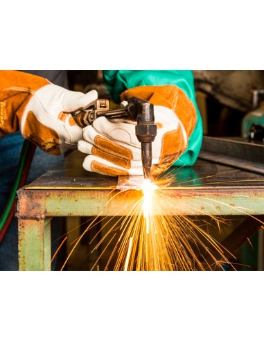 Pictograma archivo 2000 obligatorio uso de guantes pvc azul luminiscente 210x297 mm