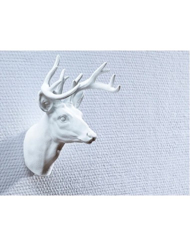 Clavo autoadhesivo tesa sujecion hasta 05 kg uso paredes pintadas removible blister de 2 unidades