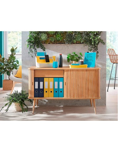 Fichero cajones de sobremesa leitz cosy 2 cajones azul