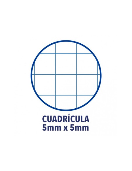 Recambio color 1 oxford din a4 80 hojas 90 gr cuadro 5 mm 4 taladros color morado