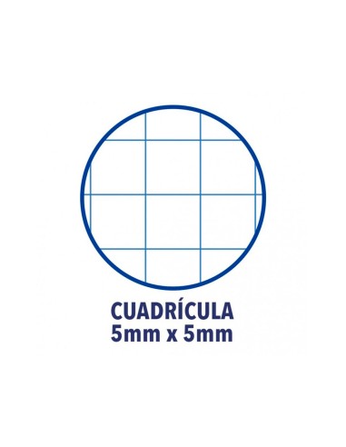 Recambio color 1 oxford din a4 80 hojas 90 gr cuadro 5 mm 4 taladros color amarillo