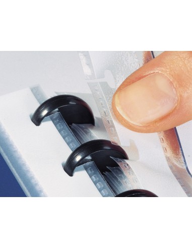 Carpeta liderpapel a4 con 40 fundas intercambiables 5 sep sobre y gomilla portada y lomo personalizable verde