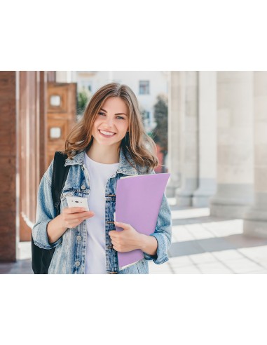 Carpeta liderpapel escaparate 80 fundas polipropileno din a4 lavanda opaco