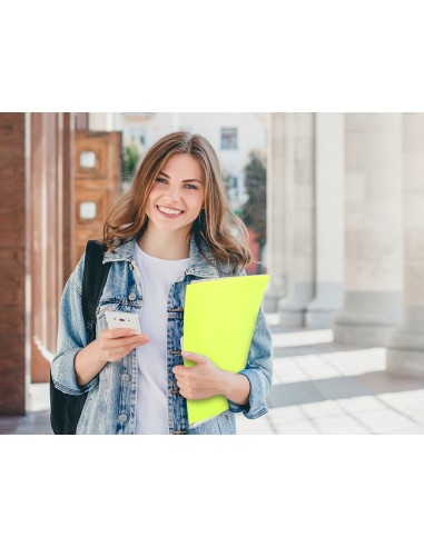 Carpeta liderpapel escaparate 80 fundas polipropileno din a4 amarillo fluor opaco