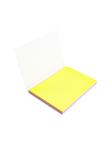 Bloc de notas electrostaticas quita y pon q connect 70x100 mm 100 hojas 5 colores fluorescentes