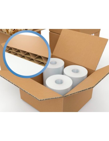 Caja para embalar q connect usos varios carton doble canal marron 304x150x217 mm