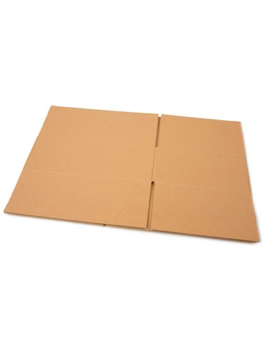 Caja para embalar q connect usos varios carton doble canal marron 304x150x217 mm