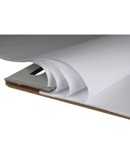 Bloc congreso liderpapel liso 630x840 mm 50 hojas 80g m2