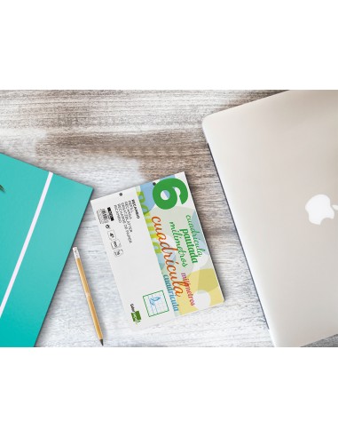 Recambio liderpapel cuarto apaisado pautaguia 100 hojas 75 g cuadriculado pautado 6 mm con margen 2 taladros