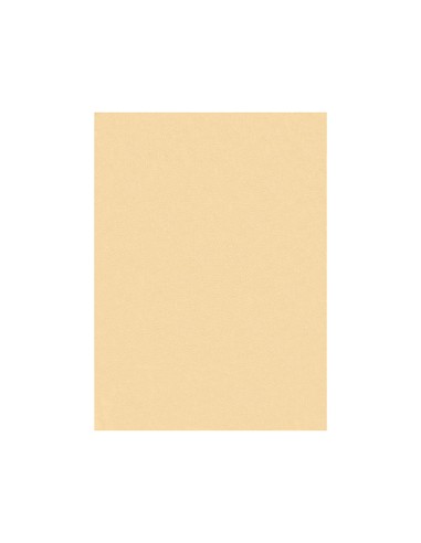 Fieltro liderpapel 50x70cm color carne 160g m2