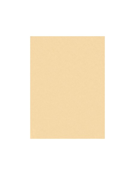Fieltro liderpapel 50x70cm color carne 160g m2
