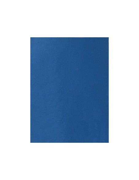 Fieltro liderpapel 50x70cm azul claro 160g m2