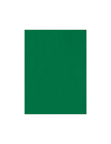 Fieltro liderpapel 50x70cm verde 160g m2