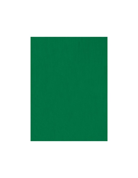 Fieltro liderpapel 50x70cm verde 160g m2