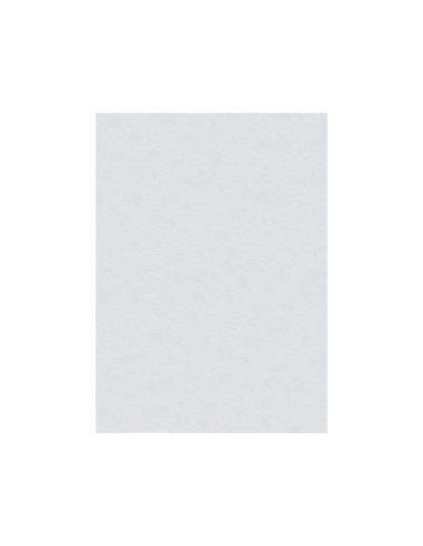 Fieltro liderpapel 50x70cm blanco 160g m2