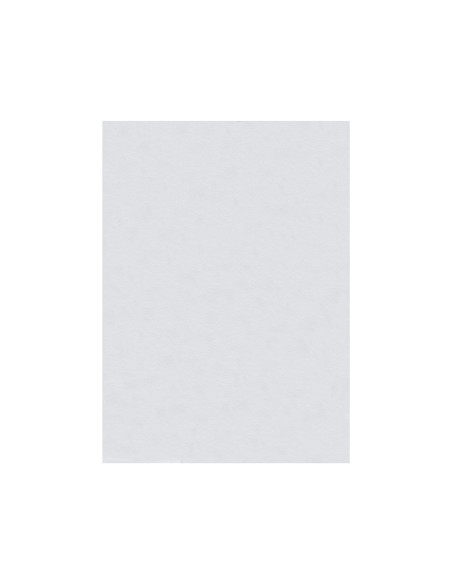 Fieltro liderpapel 50x70cm blanco 160g m2