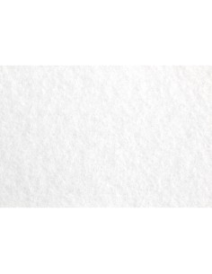 Fieltro liderpapel 50x70cm blanco 160g m2