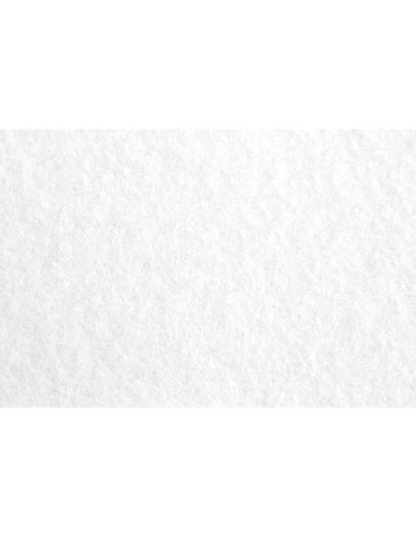 Fieltro liderpapel 50x70cm blanco 160g m2