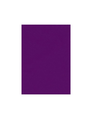 Fieltro liderpapel 50x70cm violeta 160g m2