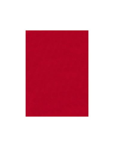 Fieltro liderpapel 50x70cm rojo 160g m2