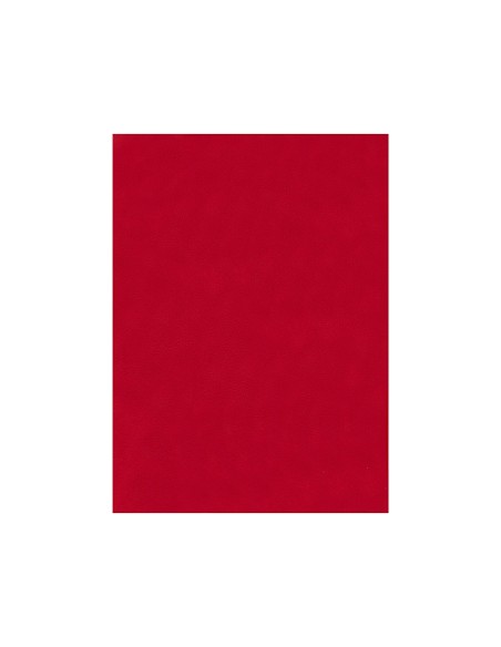 Fieltro liderpapel 50x70cm rojo 160g m2