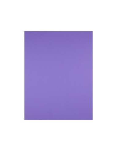 Cartulina liderpapel 50x65 cm 240 g m2 purpura