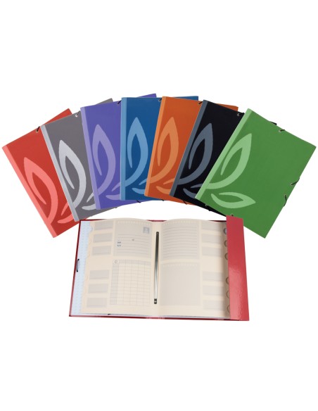 Carpeta liderpapel gomas carton forrado clasificadora folio 7 colores surtidos