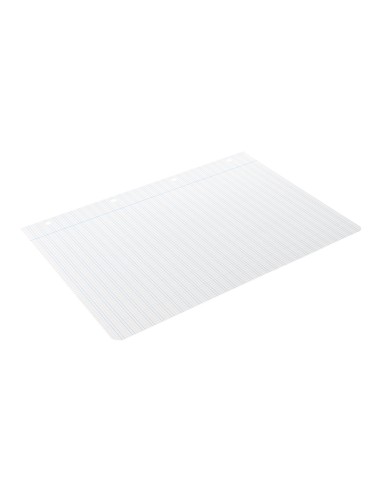 Recambio liderpapel a4 pautaguia 100 hojas 75 g m2 cuadriculado pautado 25 mm con margen 4 taladros