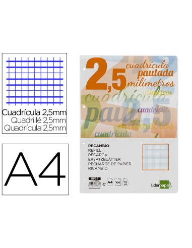 Recambio liderpapel a4 pautaguia 100 hojas 75 g m2 cuadriculado pautado 25 mm con margen 4 taladros