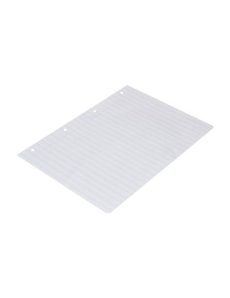 Recambio liderpapel a4 pautaguia 100 hojas 75 g cuadriculado pautado 3 mm con margen 4 taladros