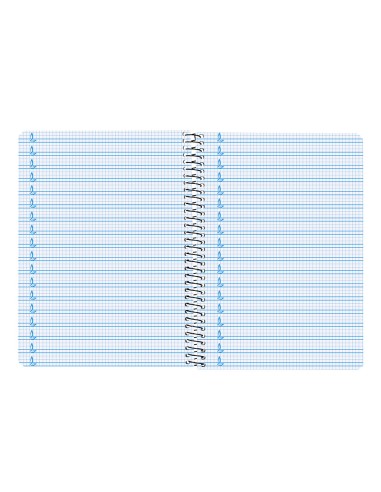Cuaderno espiral liderpapel folio pautaguia tapa dura 80h 75 gr cuadro pautado 5mmcon margen colores surtidos