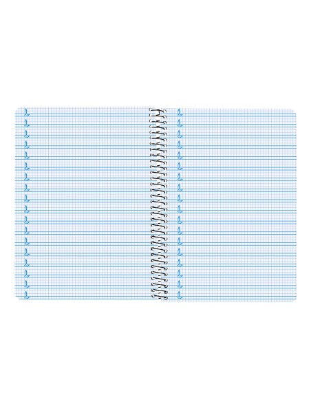 Cuaderno espiral liderpapel folio pautaguia tapa dura 80h 75 gr cuadro pautado 5mmcon margen colores surtidos