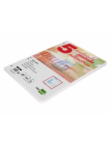 Recambio liderpapel cuarto pautaguia 100 hojas 75 g cuadriculado pautado 5 mm con margen 6 taladros