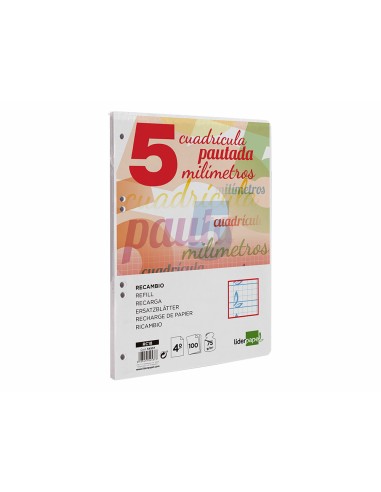 Recambio liderpapel cuarto pautaguia 100 hojas 75 g cuadriculado pautado 5 mm con margen 6 taladros
