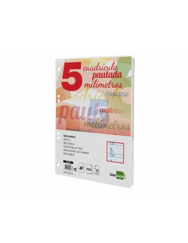 Recambio liderpapel cuarto pautaguia 100 hojas 75 g cuadriculado pautado 5 mm con margen 6 taladros