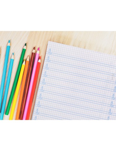 Libreta liderpapel pautaguia tapa cartoncillo 32 hojas din a5 70 g cuadriculado pautado 5 mm