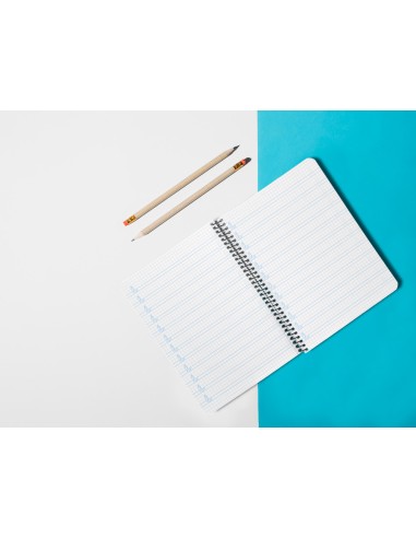 Cuaderno espiral liderpapel cuarto pautaguia tapa blanda 40h 75 gr cuadro pautado 4mm colores surtidos