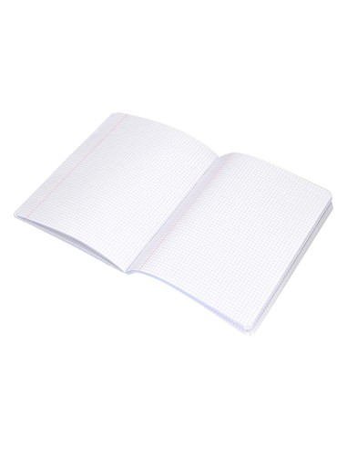 Libreta liderpapel scriptus a5 48 hojas 90g m2 cuadro 4mm con margen color verde