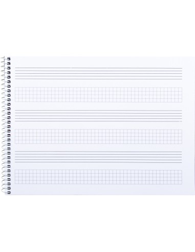 Bloc musica liderpapel combi pentagrama 3mm mas cuadricula de 4mm para anotaciones cuarto20 hojas 100g m2