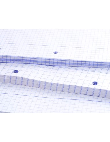Recambio liderpapel a4 100 hojas 75g m2 cuadro 4mm con margen 4 taladros