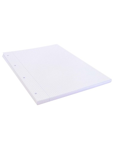 Recambio liderpapel a4 100 hojas 75g m2 cuadro 4mm con margen 4 taladros
