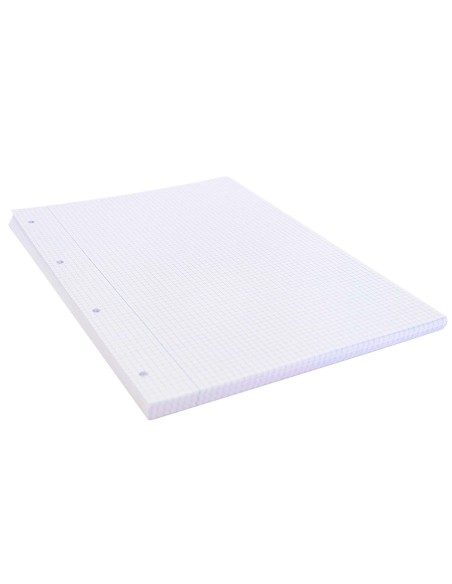 Recambio liderpapel a4 100 hojas 75g m2 cuadro 4mm con margen 4 taladros