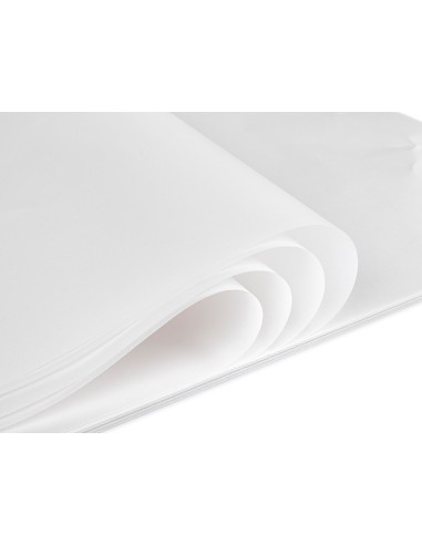 Papel dibujo liderpapel 50x65cm 70g m2 vegetal