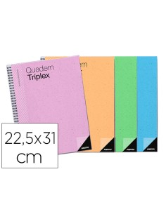 Bloc triplex additio plan curso evaluacion continua plansemanal tutorias mas 6 fundas ransparentes 225x31cm catalan