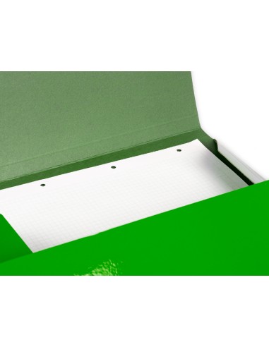 Carpeta liderpapel gomas folio 3 solapas carton plastificado color verde